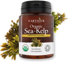 benefits of sea kelp organic sea kelp