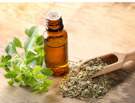 health benefits oregano essential oil
