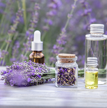 Health benefit lavender essential oil